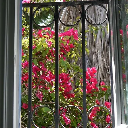 Pink Σπίτι διακοπών Πόρτο Χέλι